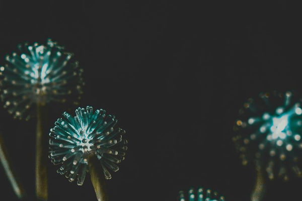 blue and white fireworks display