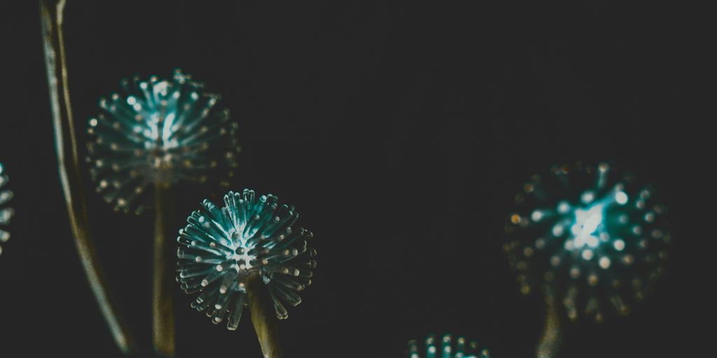 blue and white fireworks display